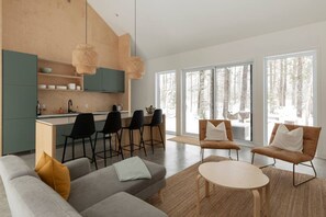 Tv, eldstad och en stereo