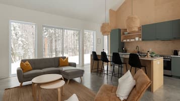 TV, fireplace, stereo