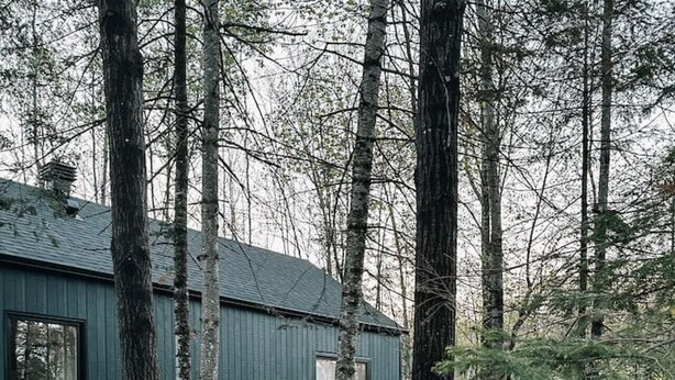 A rustic cabin with a metal roof, surrounded by tall trees and a gravel path. - Woodland Cocoon | Fireplace • 15min Tremblant (Les Laurentides Regional County Municipality)