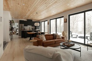 电视、壁炉、立体声音响