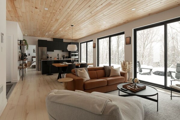 TV, fireplace, stereo