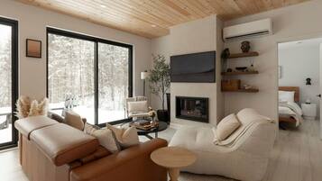 Télévision, cheminée, chaîne hi-fi