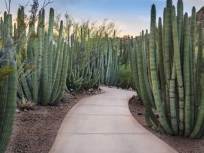 Property grounds - Old Town Gem Pool 2BR Prime Location (Scottsdale)