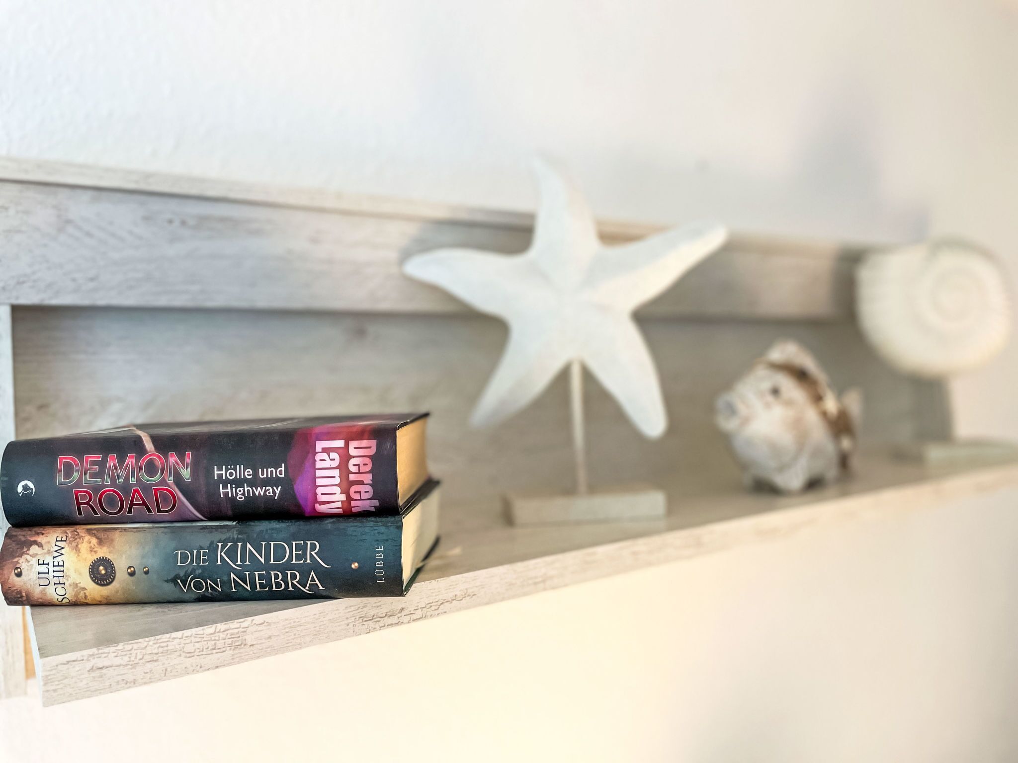 Una estantería con dos libros titulados 'Demon Road' y 'Die Kinder von Nebra'.