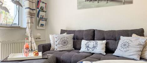 Televisión, reproductor de DVD