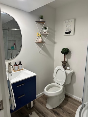 Shower, hair dryer, towels, soap