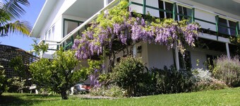 Private, quiet,sunny Apartment in subtropical garden on Okiato Peninsula/Russell