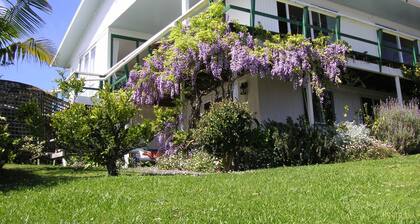 Private, quiet,sunny Apartment in subtropical garden on Okiato Peninsula/Russell