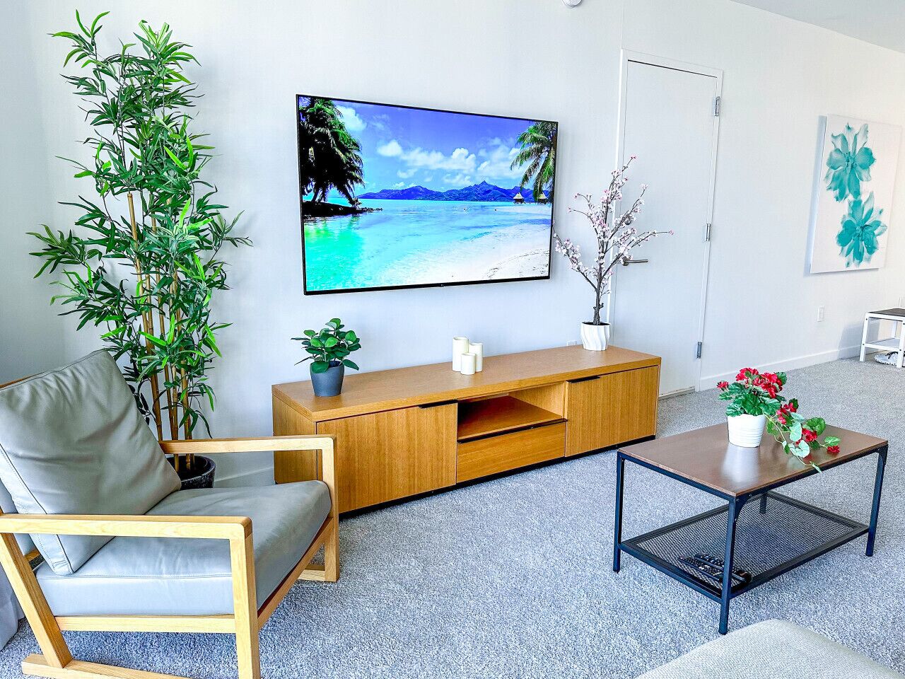 TV
