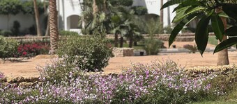 Room sultan -Vale at Domina Coral Bay oasis of peace for all