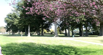 Napier Nest Motel