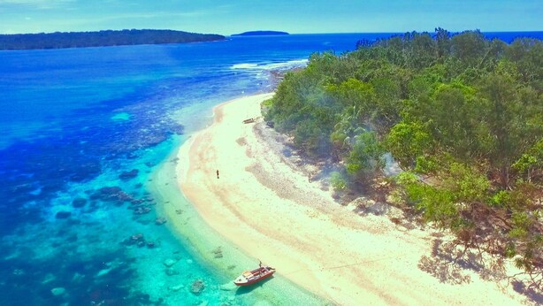 A beach with clear turquoise waters, a sandy shore, and dense green vegetation on the right. - Dany Island (Turtle Bay)