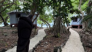 A pathway leading to a building surrounded by trees. - Dany Island (Turtle Bay)