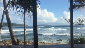 A view of the ocean from a wooden deck with palm trees in the foreground. - Dany Island (Turtle Bay)