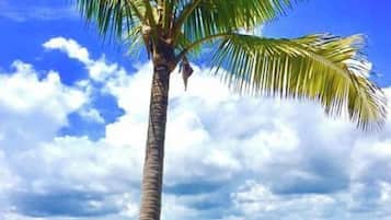 Beach/ocean view