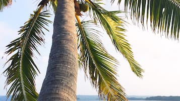 Private beach, white sand, beach massages, beach bar