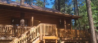 The Cozy Cabin - Escape/Unplug from the city life in this quiet forest retreat.