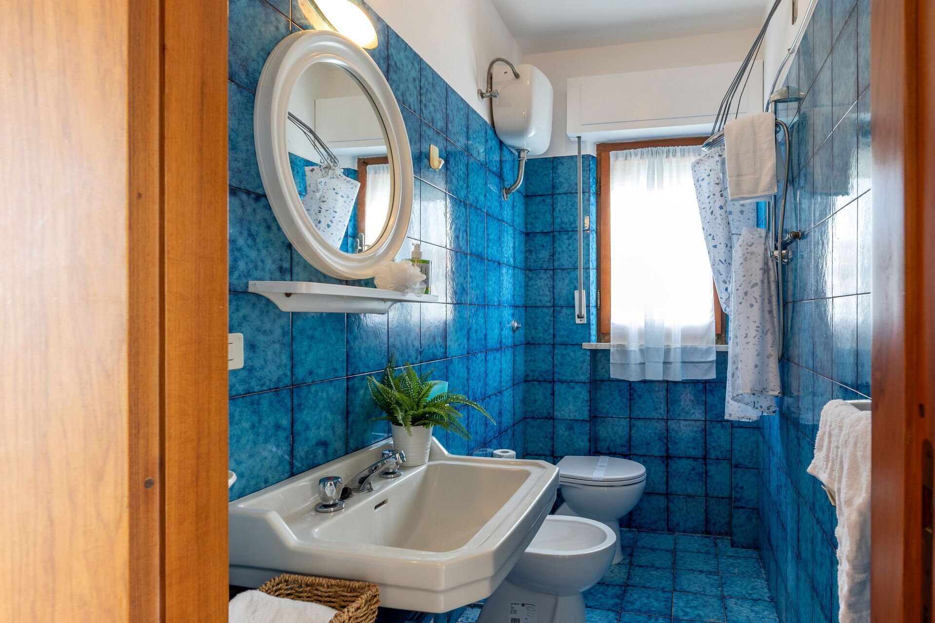 Shower, hair dryer, bidet