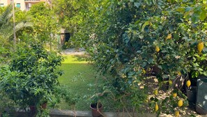 A garden with various plants and a building in the background. - Spacious apartment with garden, near the beach (Levanto)