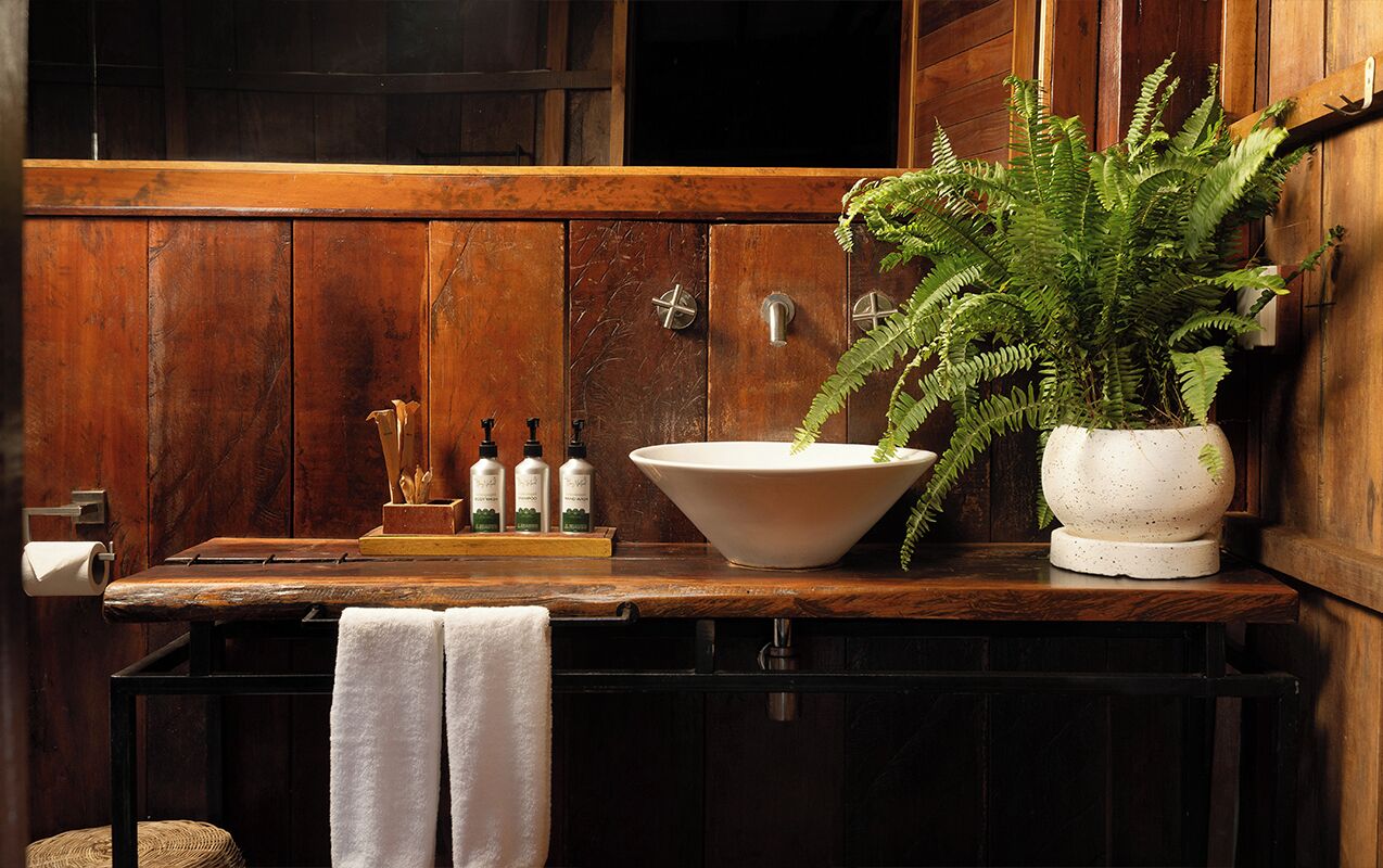 A rustic bathroom with a wooden vanity, a large white basin, and a potted fern.