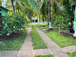 Terrein van de accommodatie