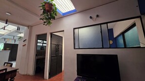 Una habitación con televisión, una planta colgante, una ventana y una puerta que da a otra estancia.