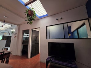 Une piĂšce avec un tĂ©lĂ©viseur, une plante suspendue, une fenĂȘtre et une porte donnant sur une autre piĂšce.