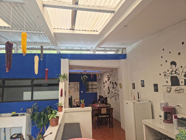 Una cocina con refrigerador, cafetera y plantas en macetas.