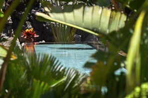 Beheizter Pool