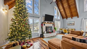 TV, fireplace, offices