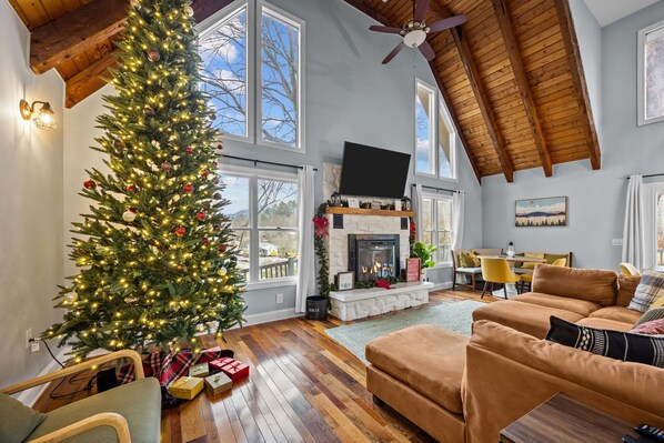 TV, fireplace, offices