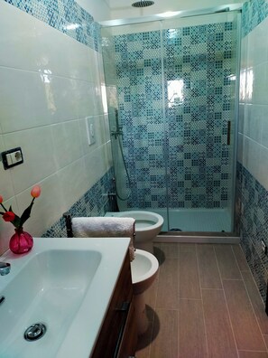 Chuveiro, secador de cabelo, bidê, toalhas de banho