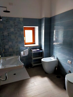 Regadera, secadora de cabello, bidet, toallas