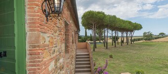 Bouganville Della Vivaldina, Suvereto
