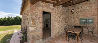 Ulivo Della Vivaldina, Suvereto