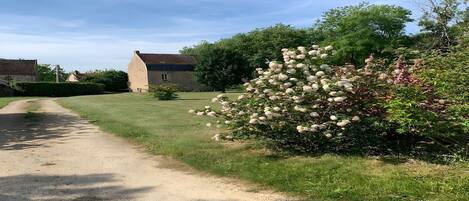 Overnattingsstedets uteområder