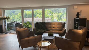 TV, table tennis, books, music library