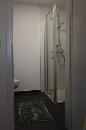 Hair dryer, towels, toilet paper