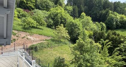 Waldklang Refugium | T-football | Smarthome | Sauna (from fall) | fenced | 14 people