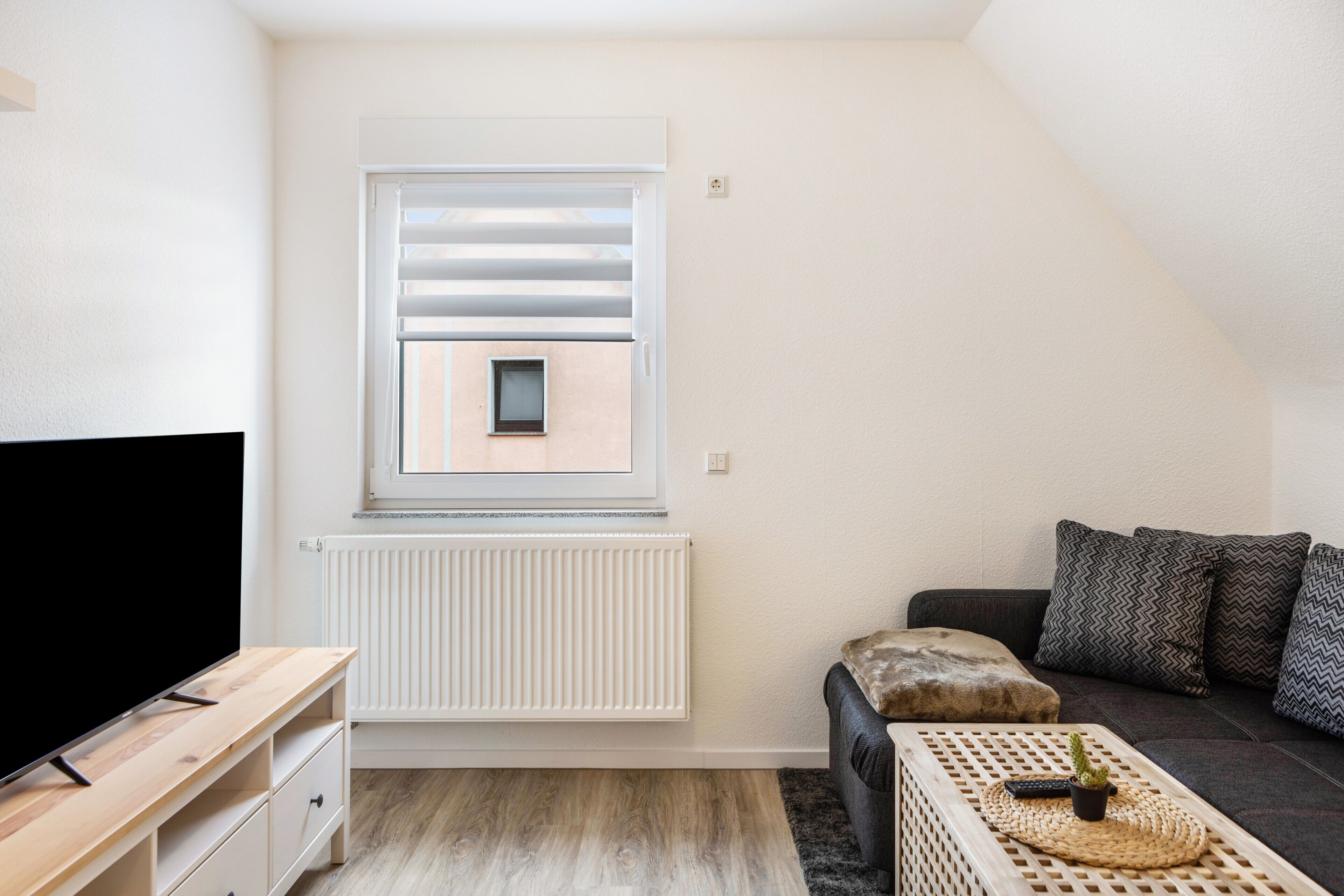 Fernseher