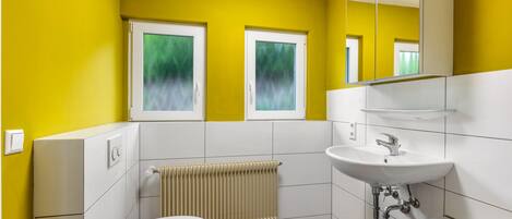 A bathroom with a toilet, a sink, a mirror, and a radiator.