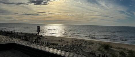 Walk along the boardwalk to the serene ocean shoreline.