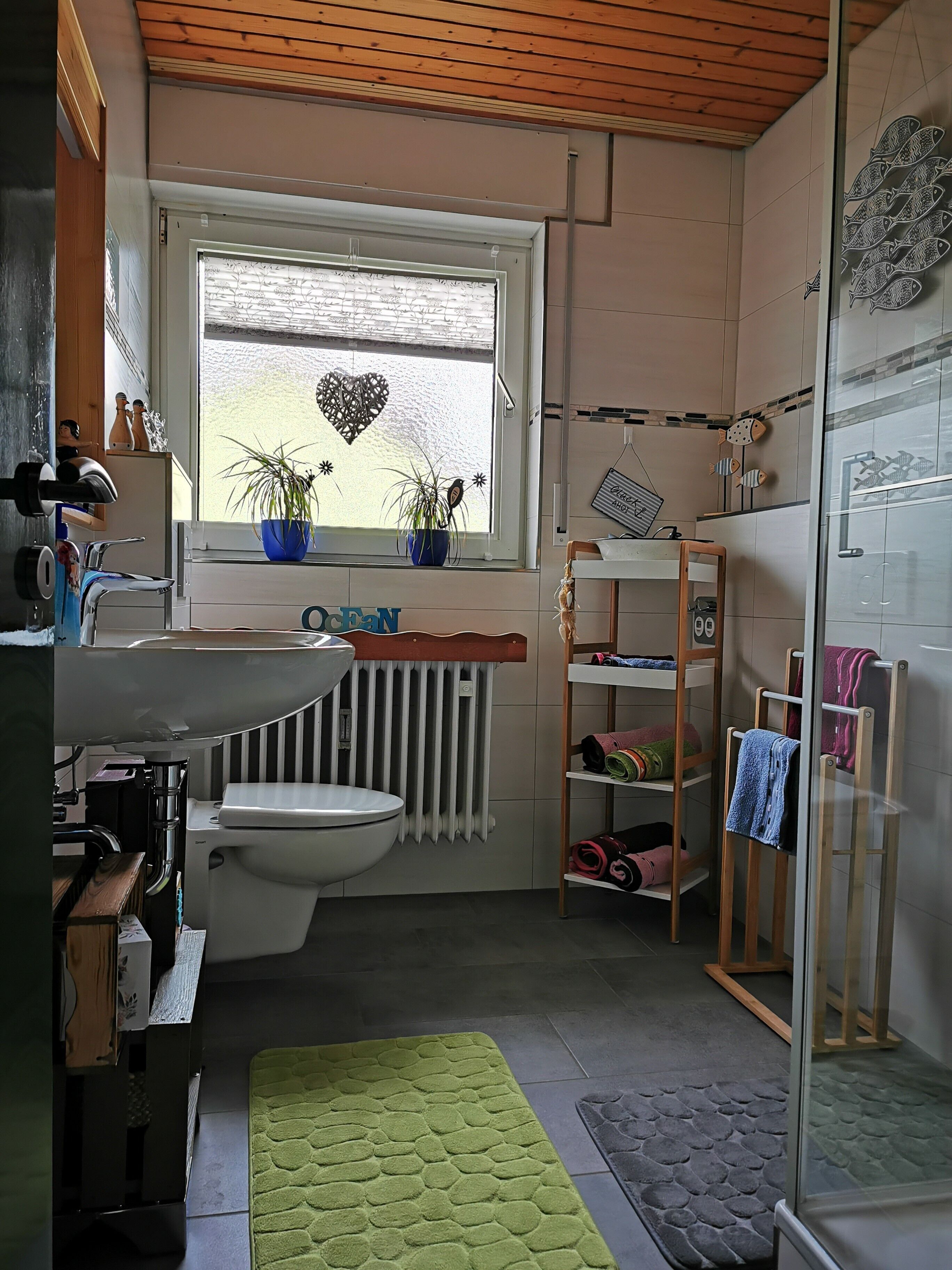 淋浴设施、吹风机、毛巾