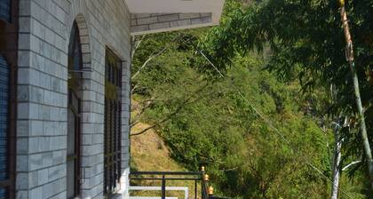 Experience Himachal at Ram Home Stay – Comfort & Culture in Nature’s Embrace