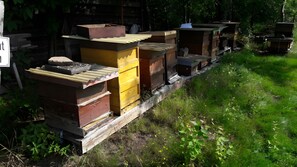 Property grounds - Apartment 'Haus Zur Bienenweide' with Shared Terrace, Balcony and Wi-Fi (Schömberg)