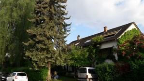 Un carrer residencial amb cotxes aparcats, un gran arbre de fulles perennes i una casa amb teulada inclinada.