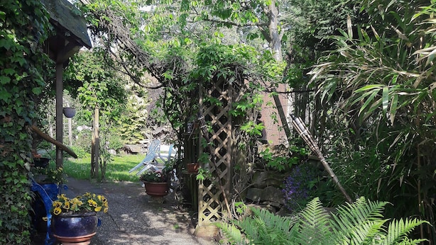 Un camí al jardí amb una pèrgola de fusta, plantes en testos i una banca.