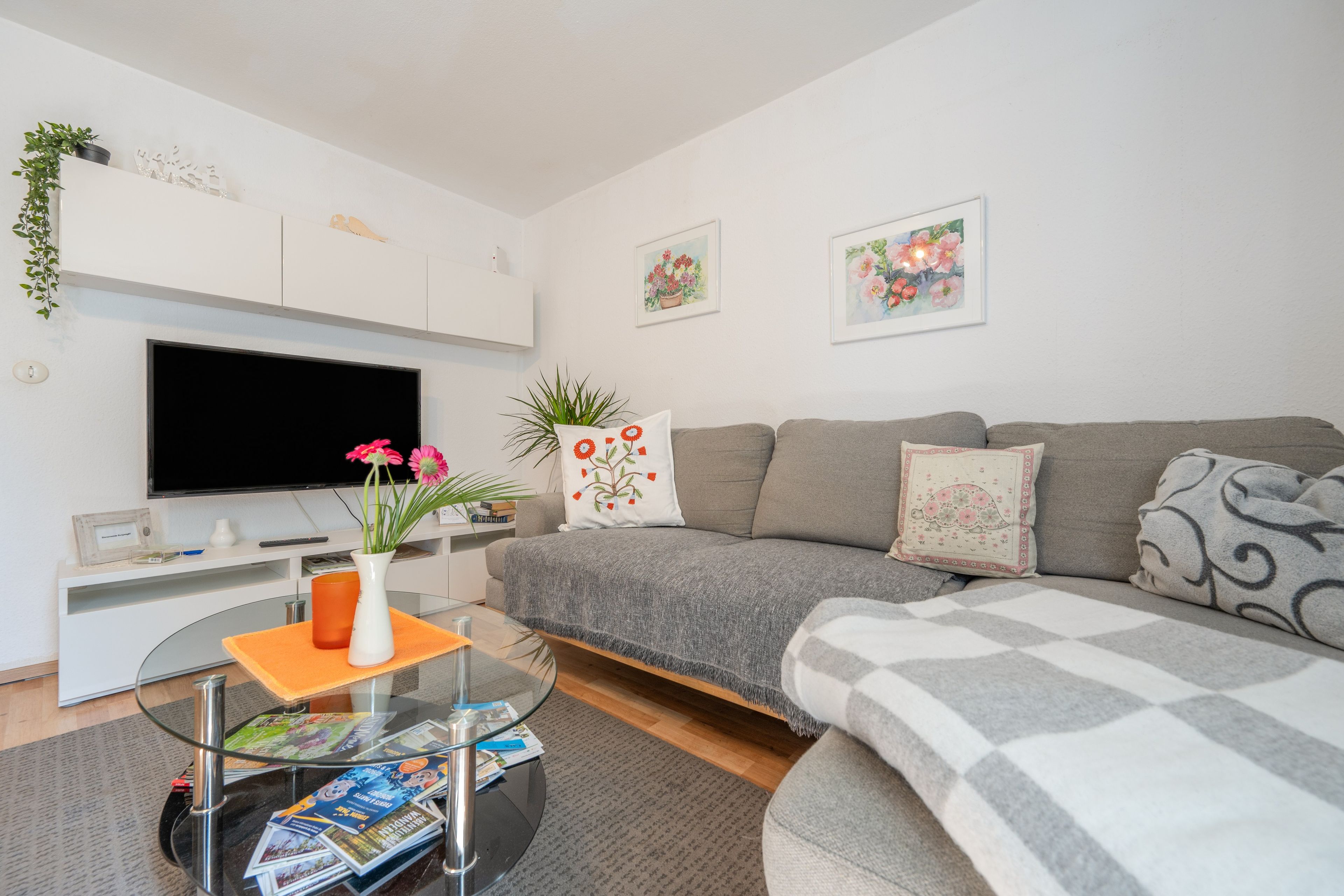 Ein modernes Wohnzimmer mit einem Flachbildfernseher, einem Sofa, einem Couchtisch mit Zeitschriften und dekorativen Kissen.
