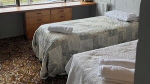 A bedroom with two beds, a window with a view of greenery, a radiator, and a patterned carpet. - Green Hayes Estate Rentals - R5 Magnolia House in quiet peaceful country setting (Temuka)