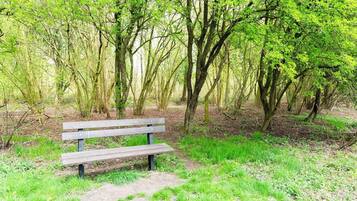 Un banc en bois situé dans une zone boisée, entouré d’arbres et d’herbe.